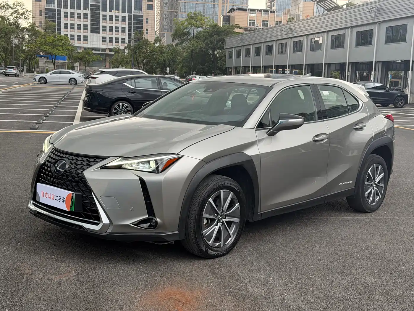 Lexus UX Electric 2022 2020 300e Pure Yue Edition