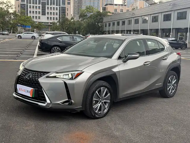  Lexus Lexus UX Electric 2020 300e Pure Yue Edition