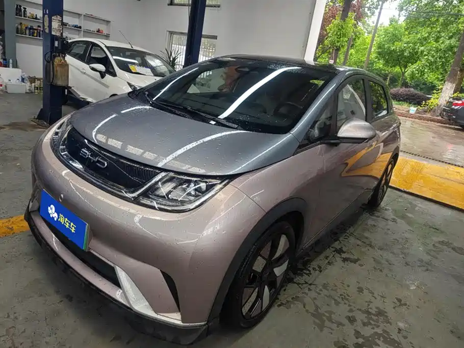 BYD Dolphin 2021 401km Knight Edition