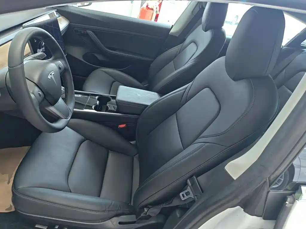 Tesla Model 3 (Import) 2020 2019 Standard Range RWD Upgraded Edition
