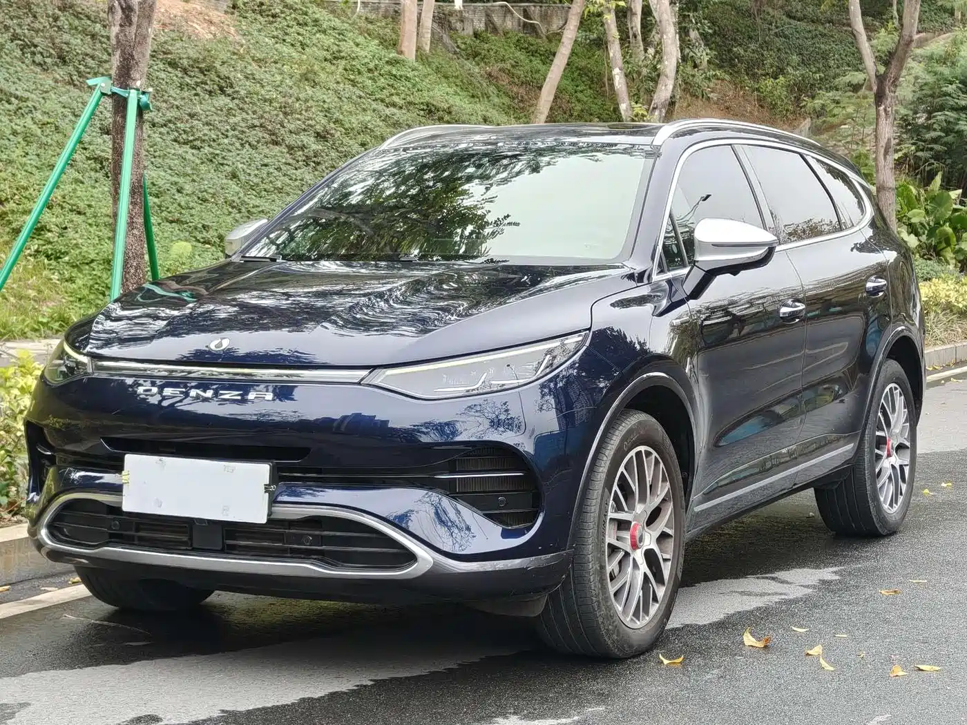 Denza X 2020 2020 PHEV Classic Edition