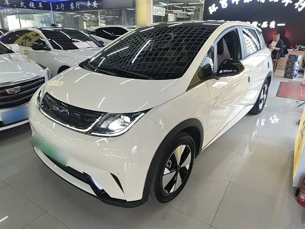 BYD Dolphin 2023 420km Fashion Edition
