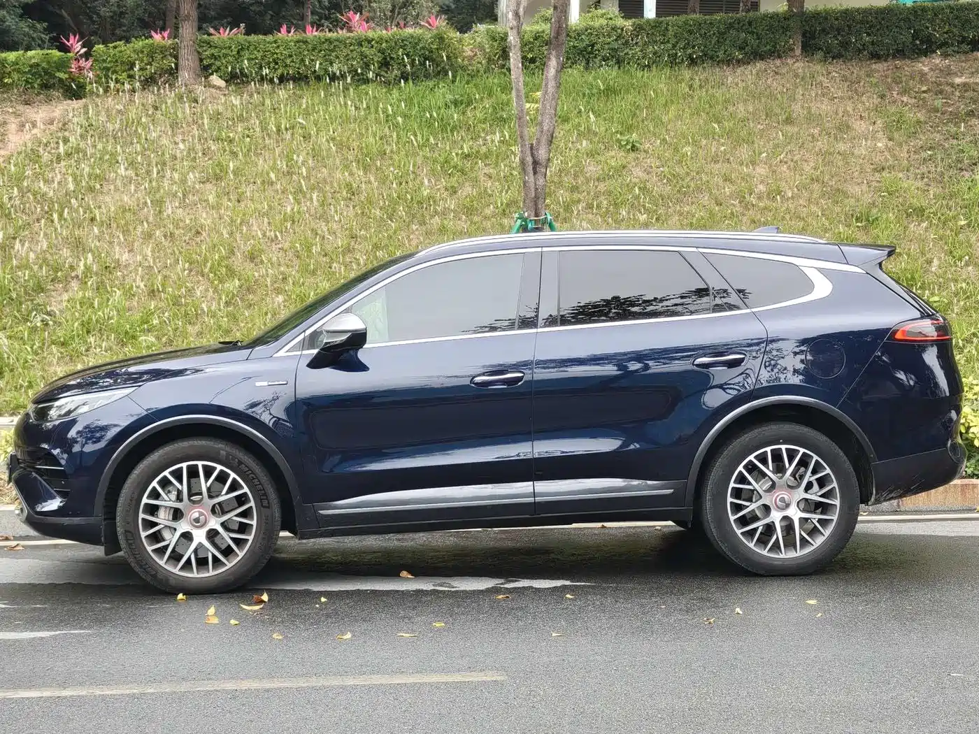 Denza X 2020 2020 PHEV Classic Edition