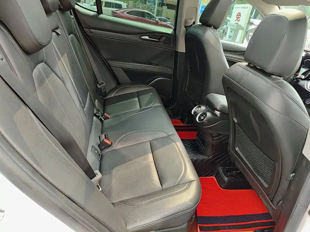 Alfa Romeo Stelvio 2019 2017 2.0T 200HP Luxury Edition