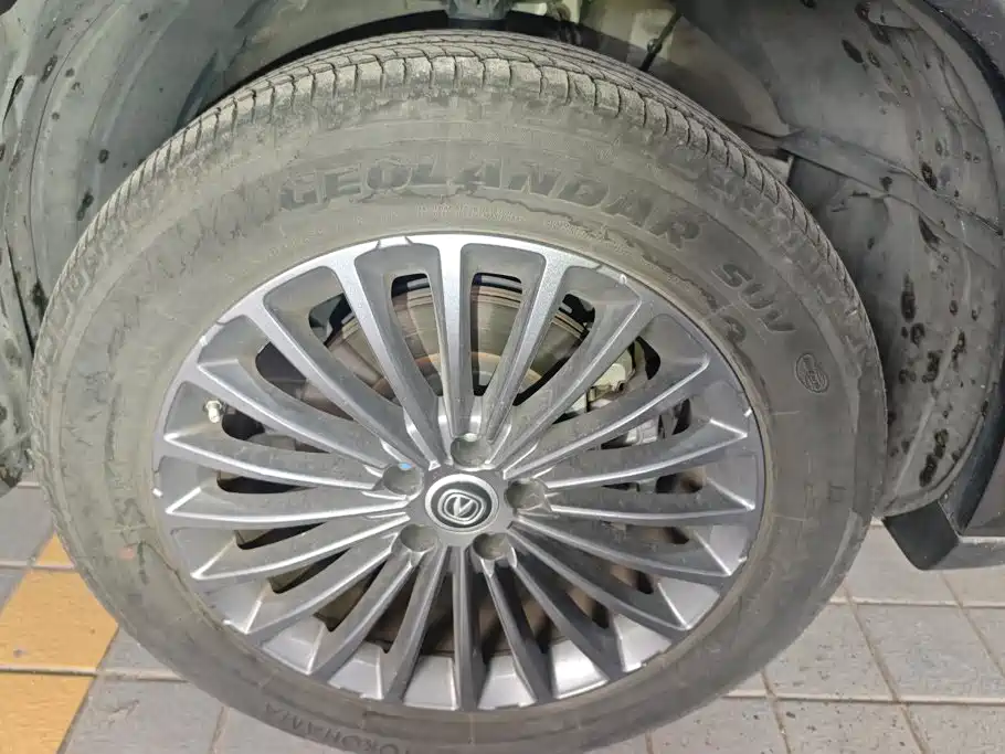 Changan CS95 2021 2021 2.0T 2WD Luxury