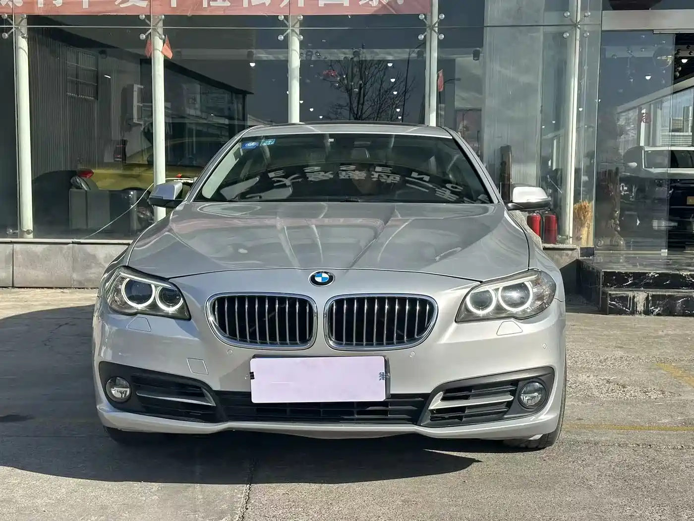 BMW 5 Series 2014 520Li Elegance фото 2