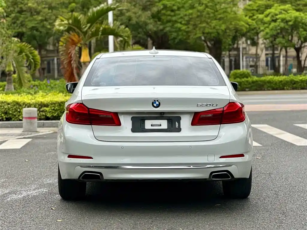 BMW 5 Series 2020 530Li Premium Luxury Package фото 4