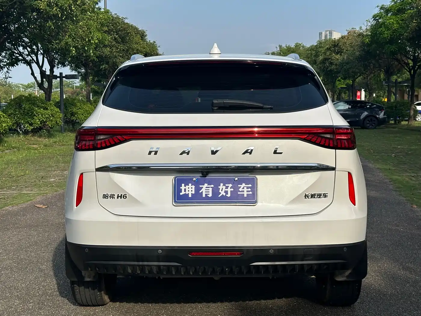 Haval H6 2022 3rd Gen 1.5T Auto 2WD Max фото 5