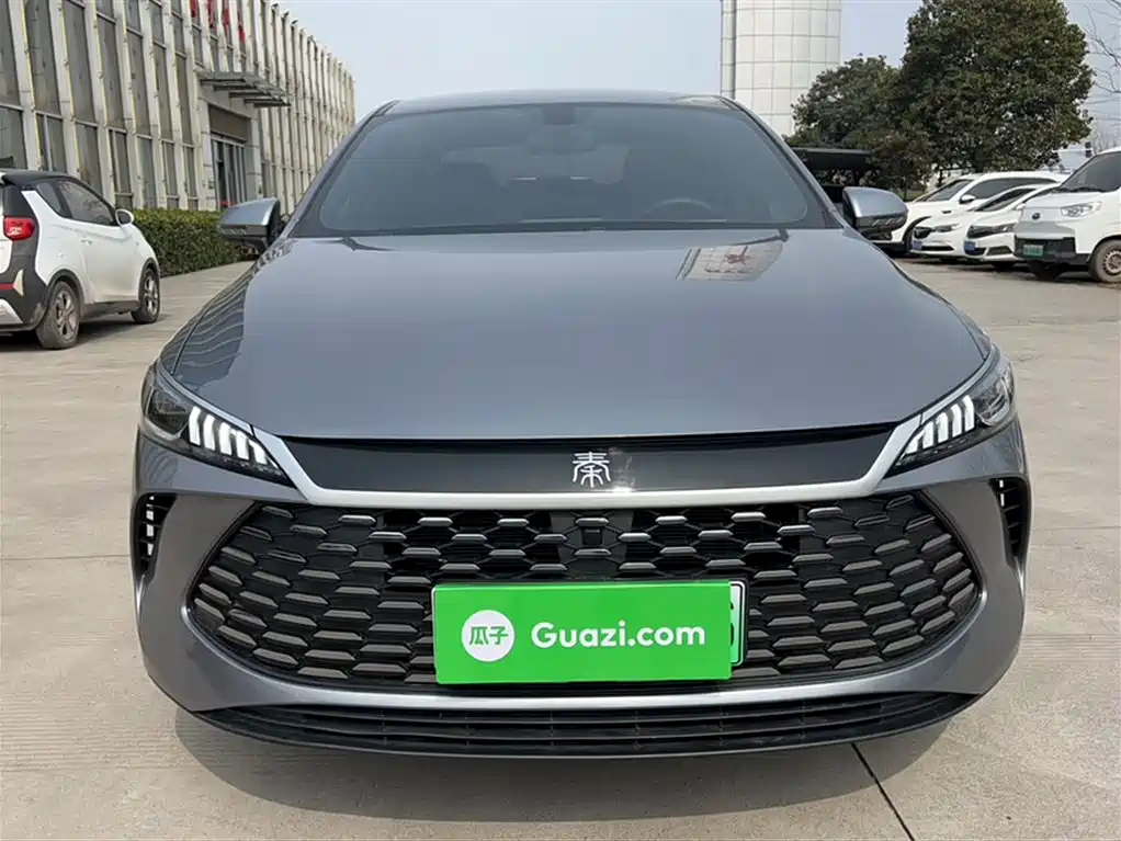 BYD Qin PLUS 2025 DM-i Smart Drive 55KM Leader фото 12