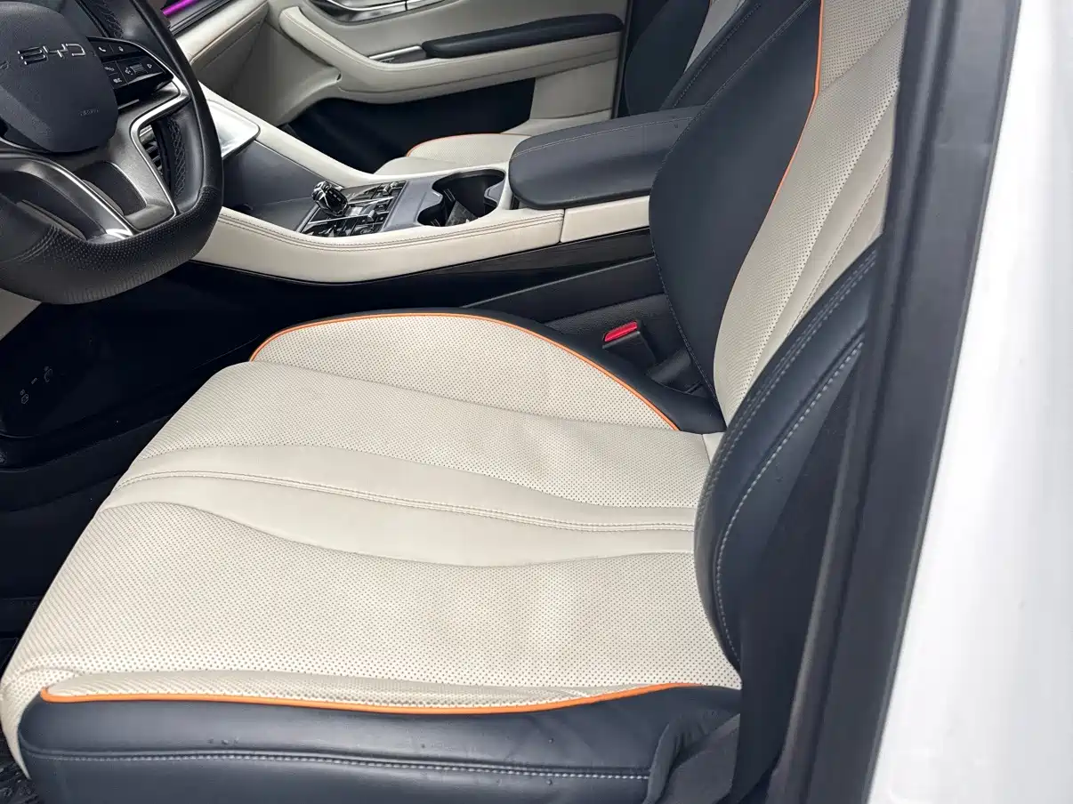 BYD SONGJIANG NEW ENERGY