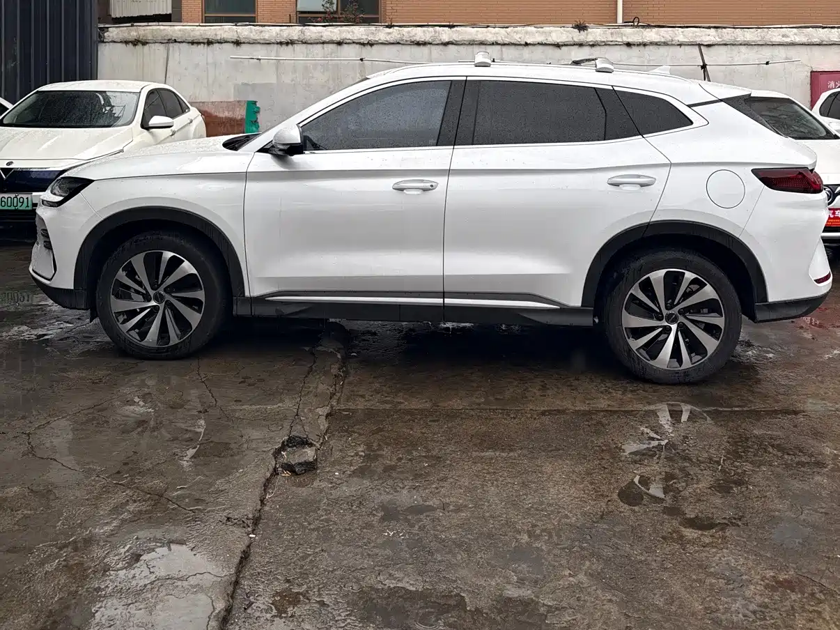 BYD SONGJIANG NEW ENERGY