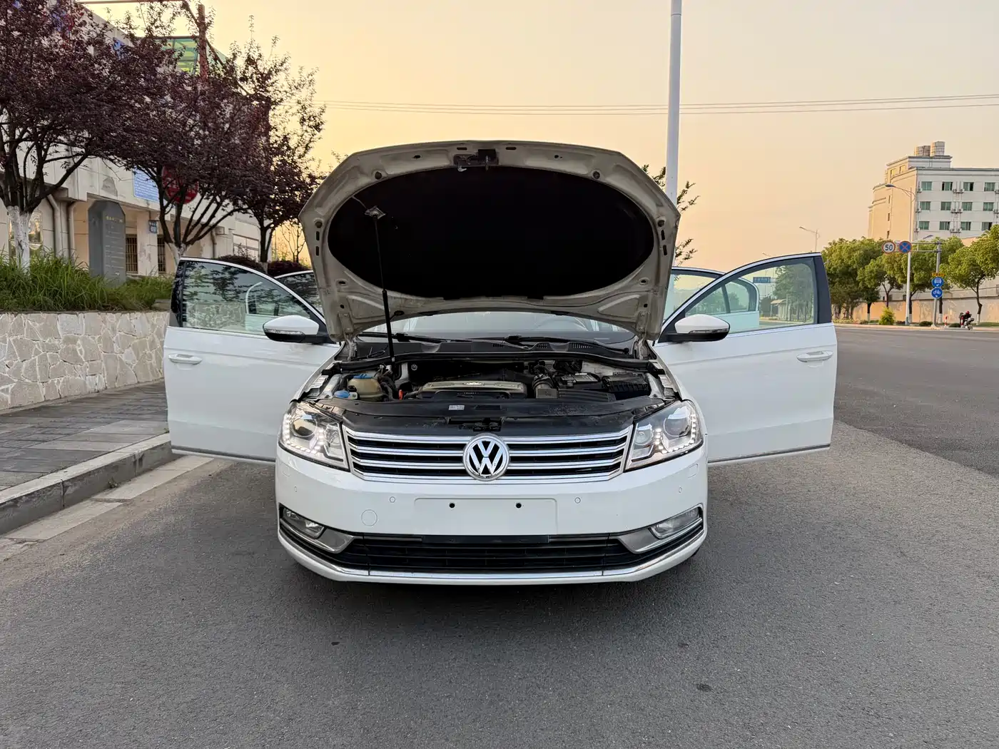 Volkswagen Magotan 2012 1.8TSI Luxury фото 12
