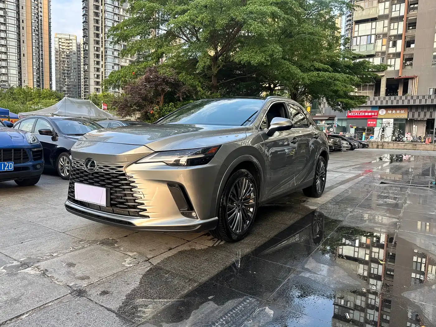 LEXUS RX