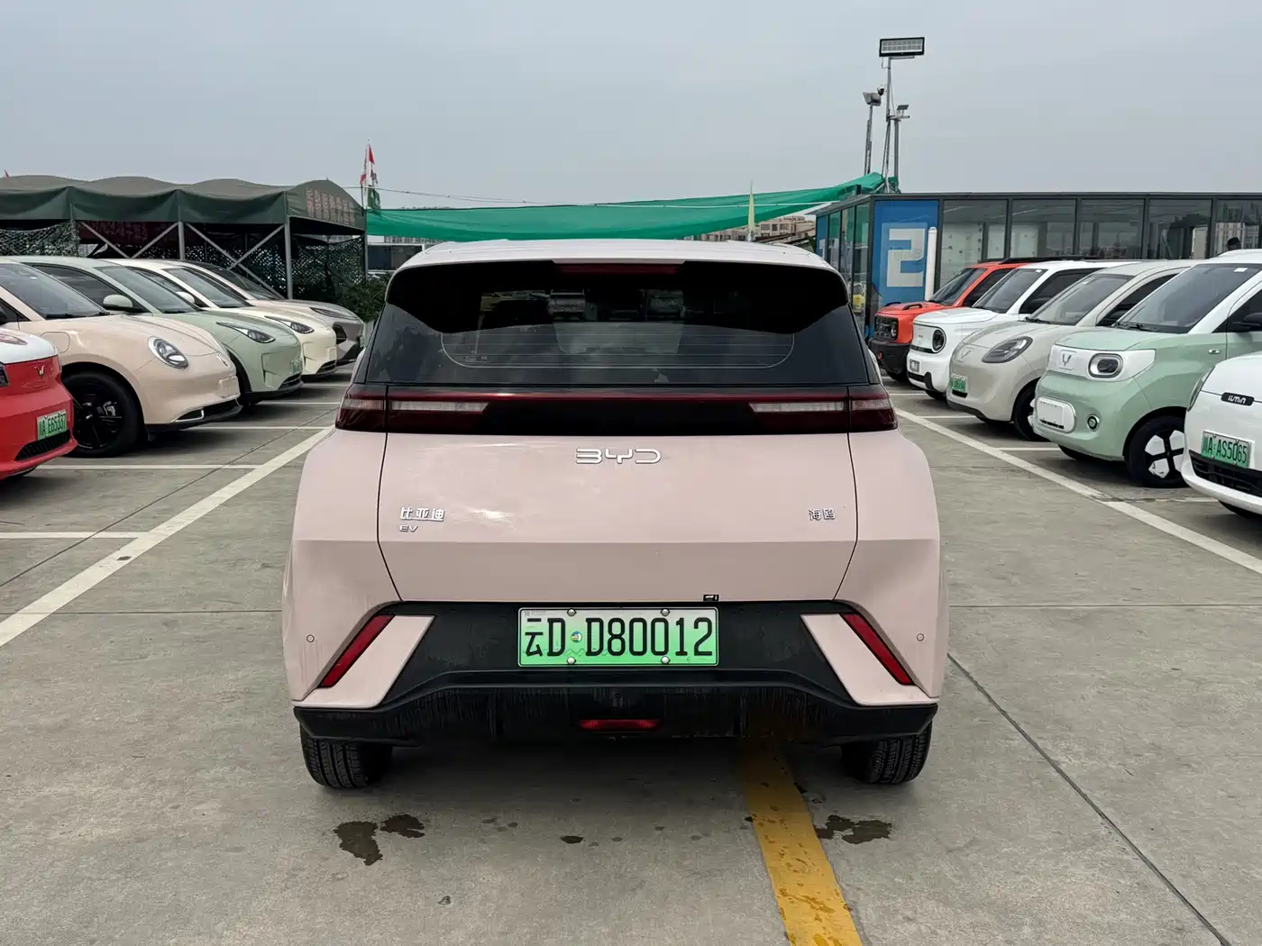 BYD Seagull 2025 305km Freedom фото 5