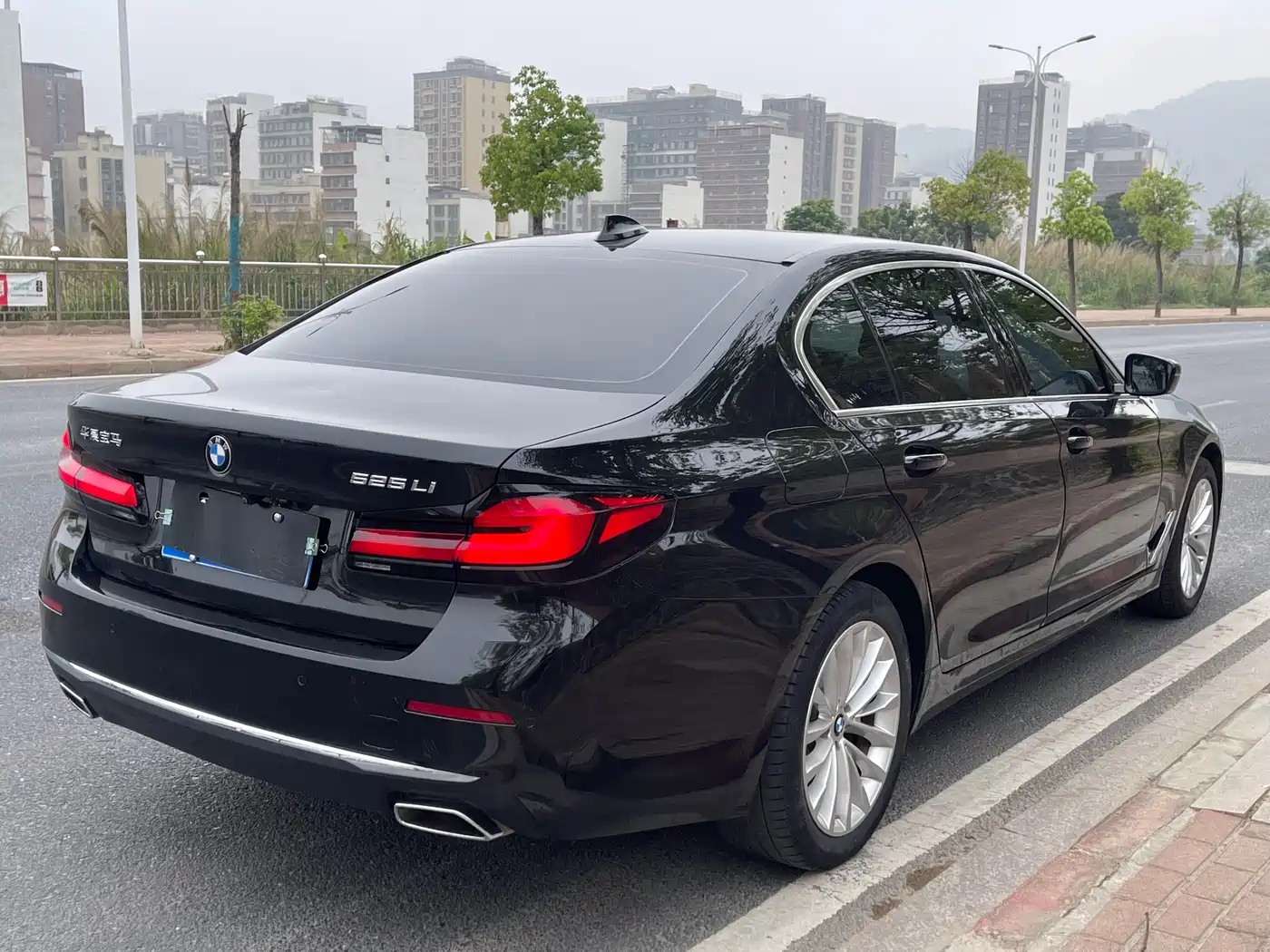 BMW 5 Series 2021 525Li Luxury Package фото 9