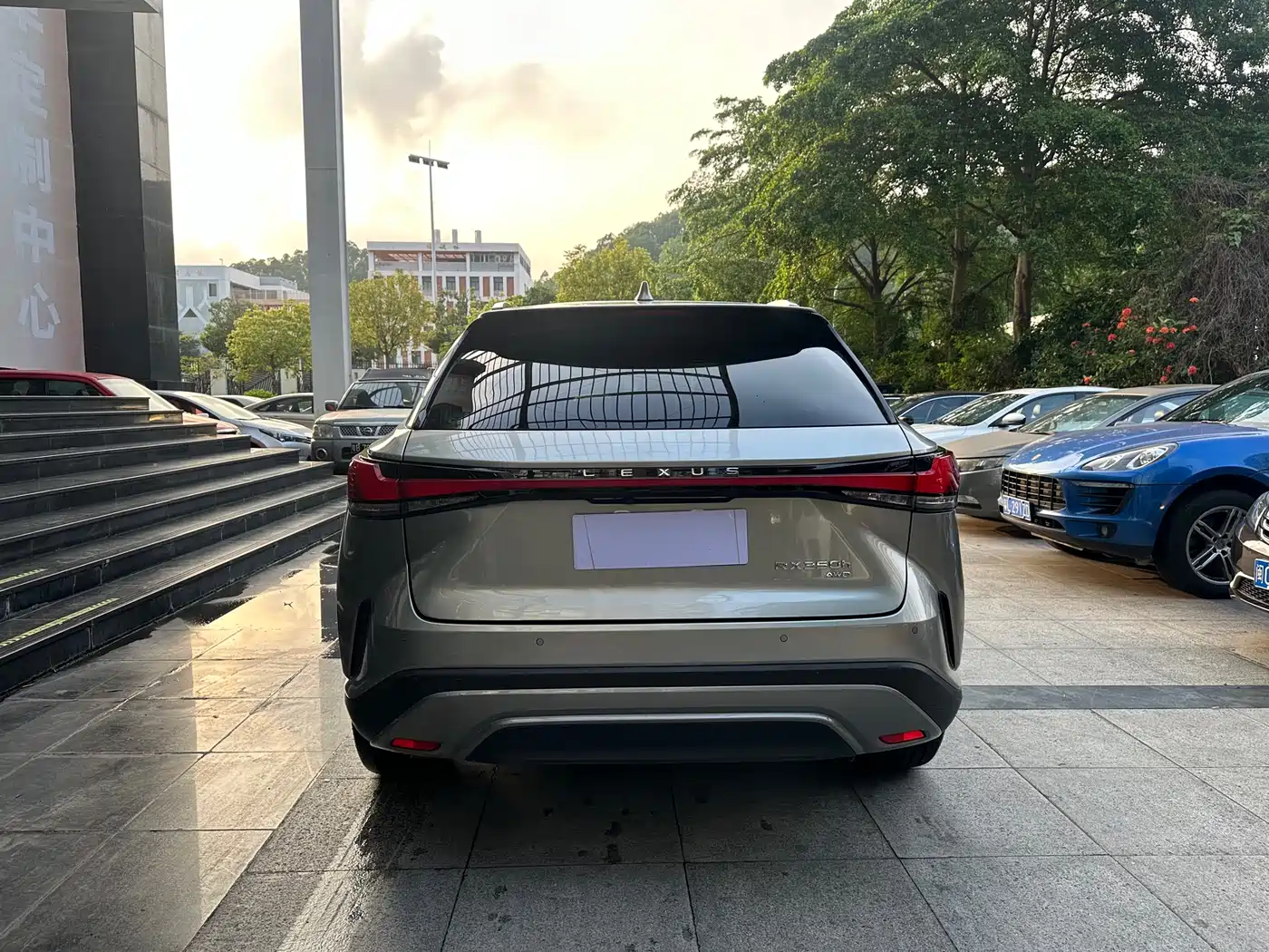 LEXUS RX