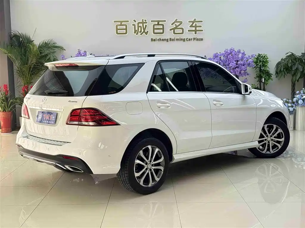 Mercedes-Benz GLE 2017 GLE 320 4MATIC Dynamic фото 6