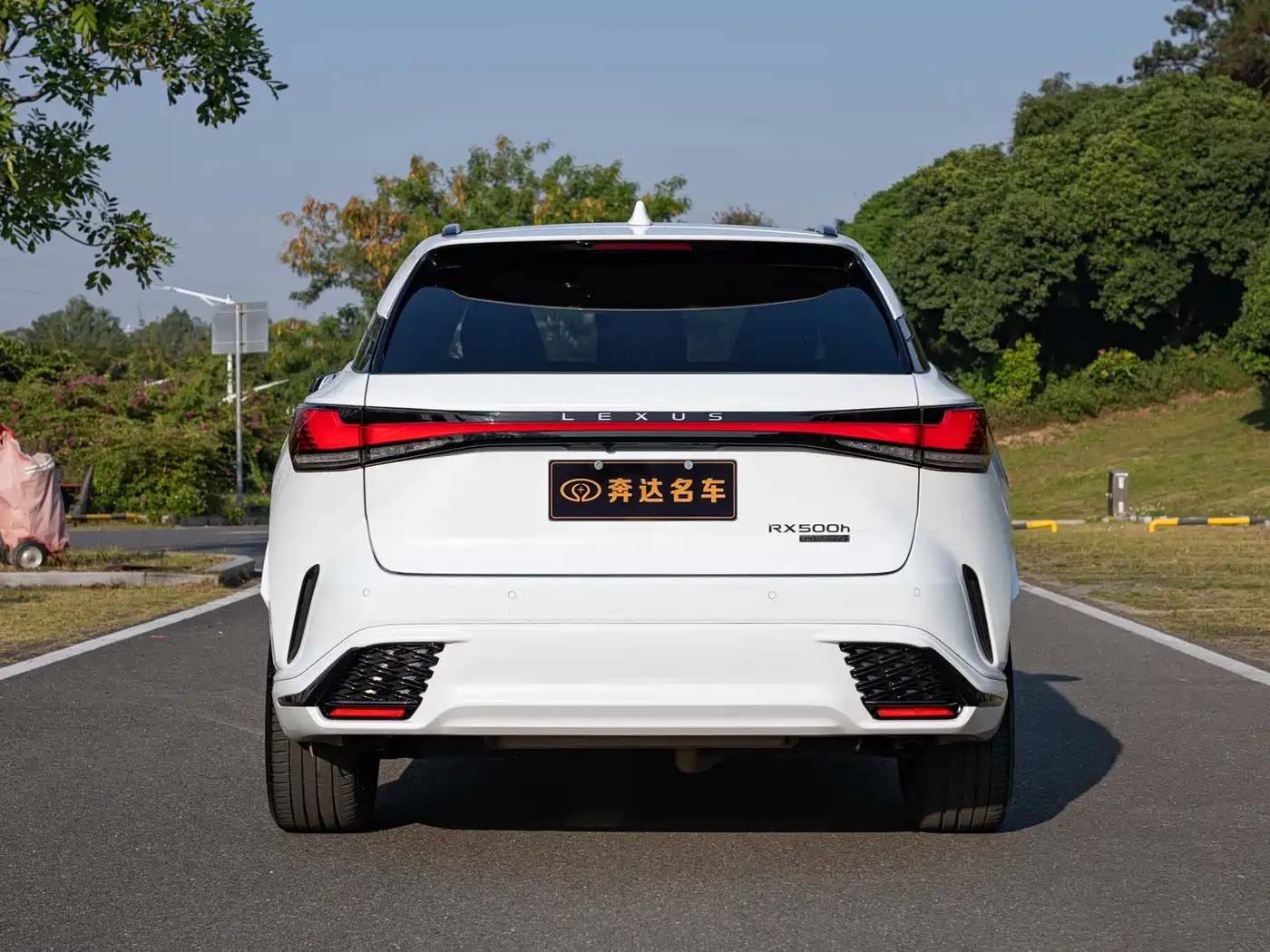 LEXUS RX