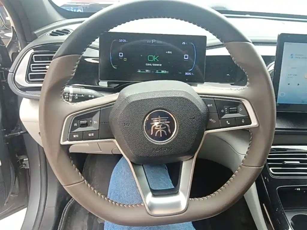 BYD Qin PLUS 2024 Glory Edition DM-i 55KM Leading фото 7