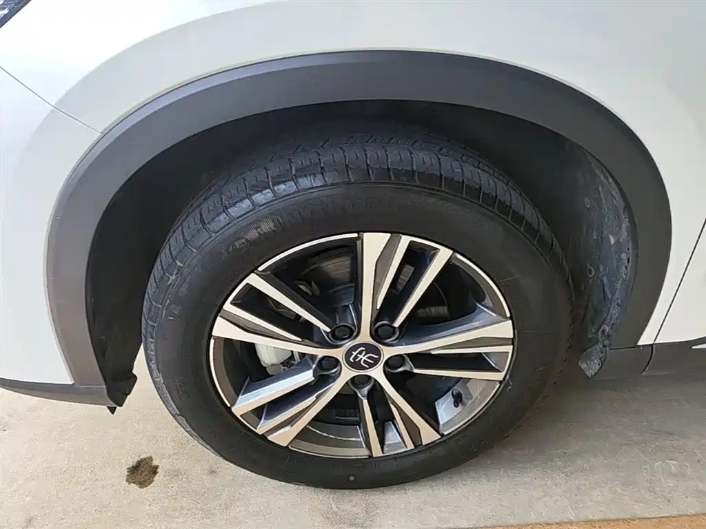 BYD Song Pro New Energy 2022 DM-i 51km Luxury фото 25