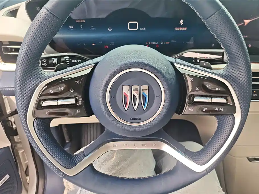 Buick Century 2023 2.0T 7-Seater World Edition фото 15
