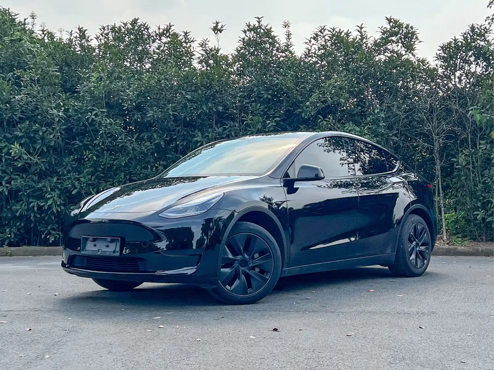 Фото 1 - Tesla Model Y
