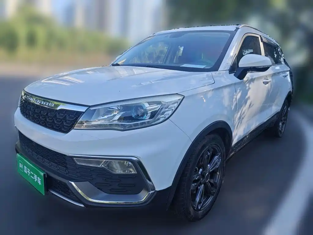 2018 Leopaard CS9