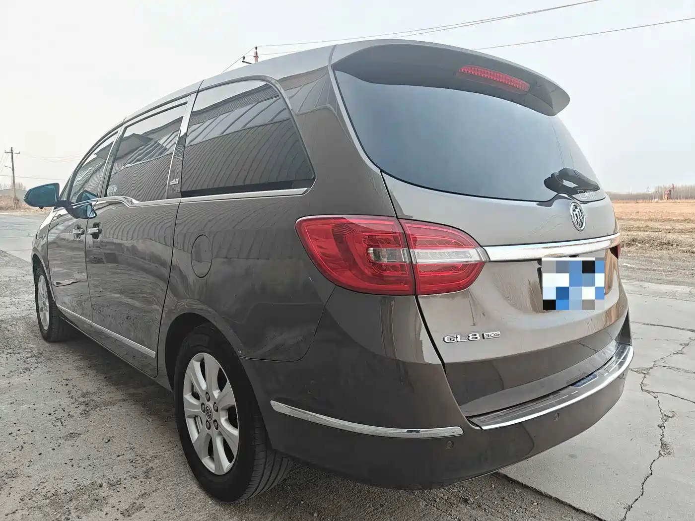 Buick GL8 2014 3.0L GT Luxury Business Elegance фото 4