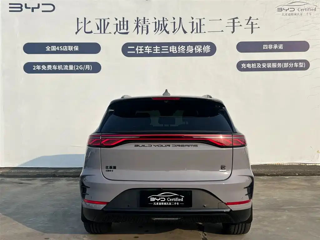 BYD Tang New Energy 2025 Smart Driving Edition DM-i 115KM Premium фото 5
