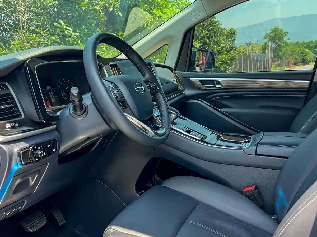 GAC Trumpchi Trumpchi M8 2023 Leading Series 390T Prestige Edition фото 12