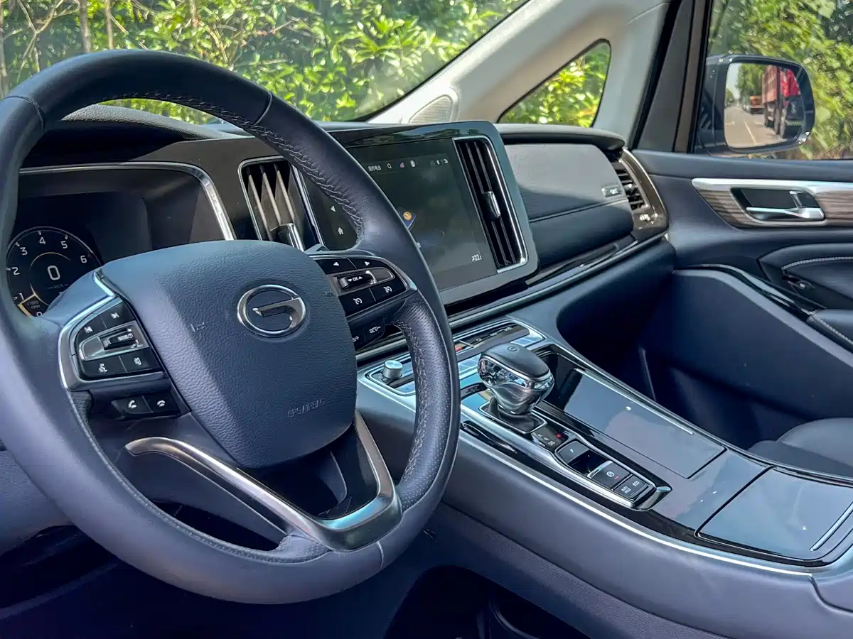 GAC Trumpchi Trumpchi M8 2023 Leading Series 390T Prestige Edition фото 14