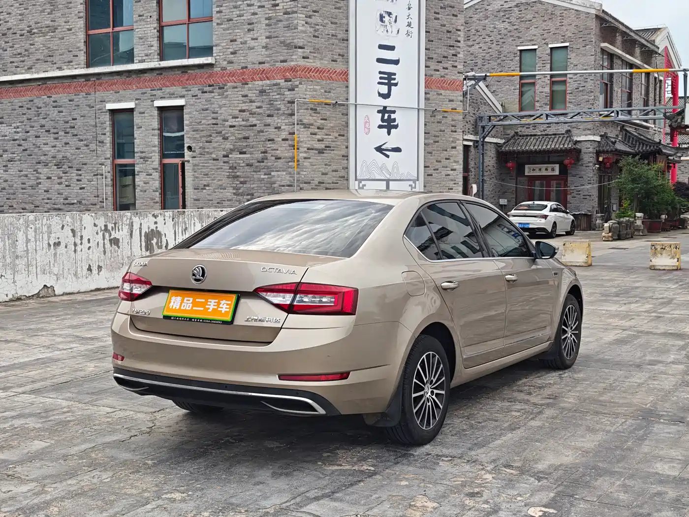 Škoda Octavia 2019 TSI230 DSG Luxury Edition фото 7