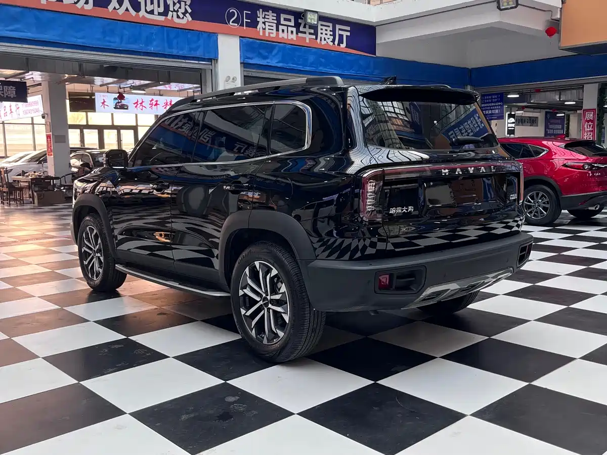 Haval Big Dog 2024 1.5T DCT Border Collie Edition фото 6