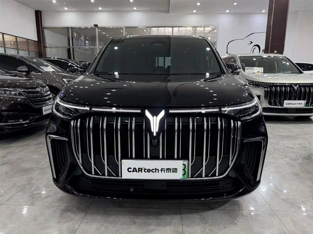 Voyah Auto Voyah Dreamer 2024 PHEV Extended Range Premium Edition фото 4