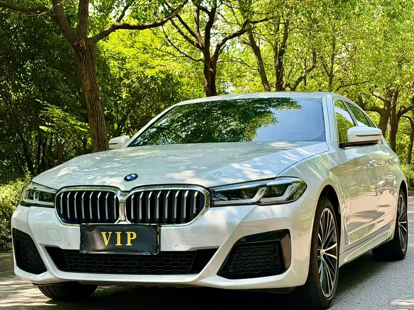 BMW 5 Series 2021 530Li Leading M Sport Package