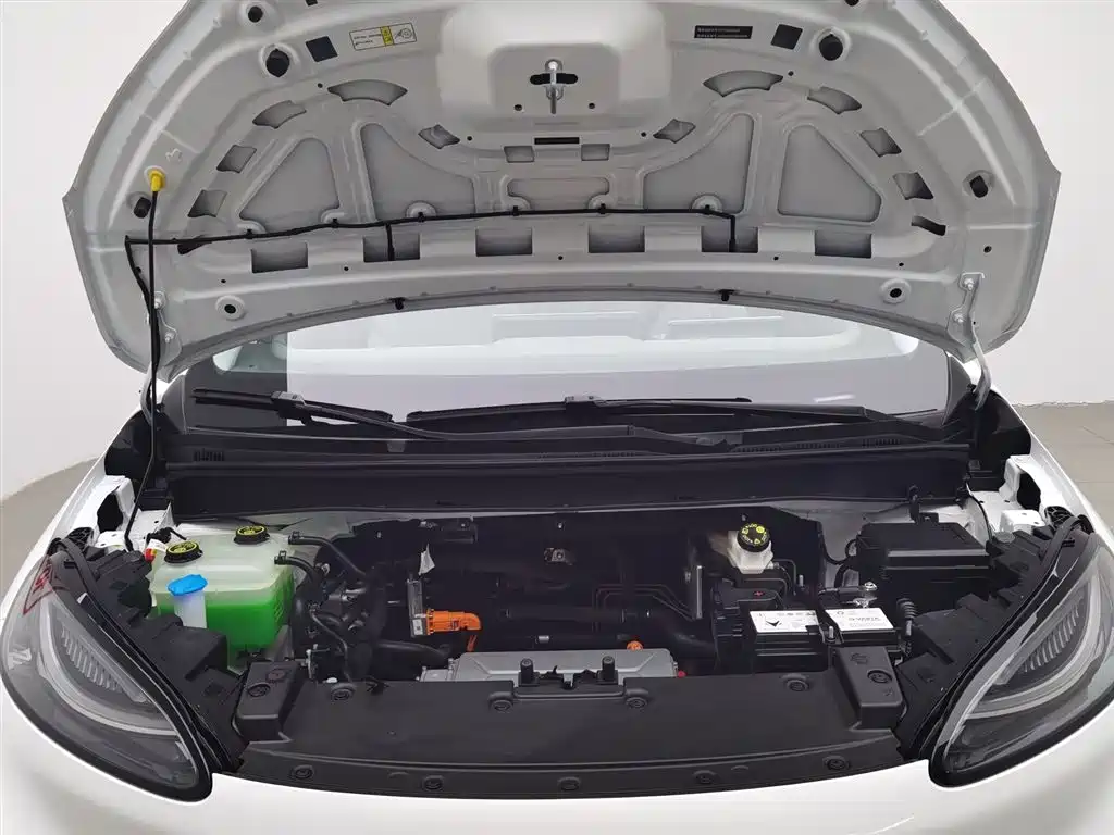 ARCFOX EXTREME FOX POLAR FOX KOALA S