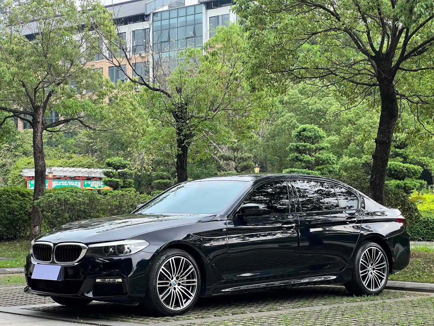BMW 5 Series 2018 530Li xDrive M Sport Package