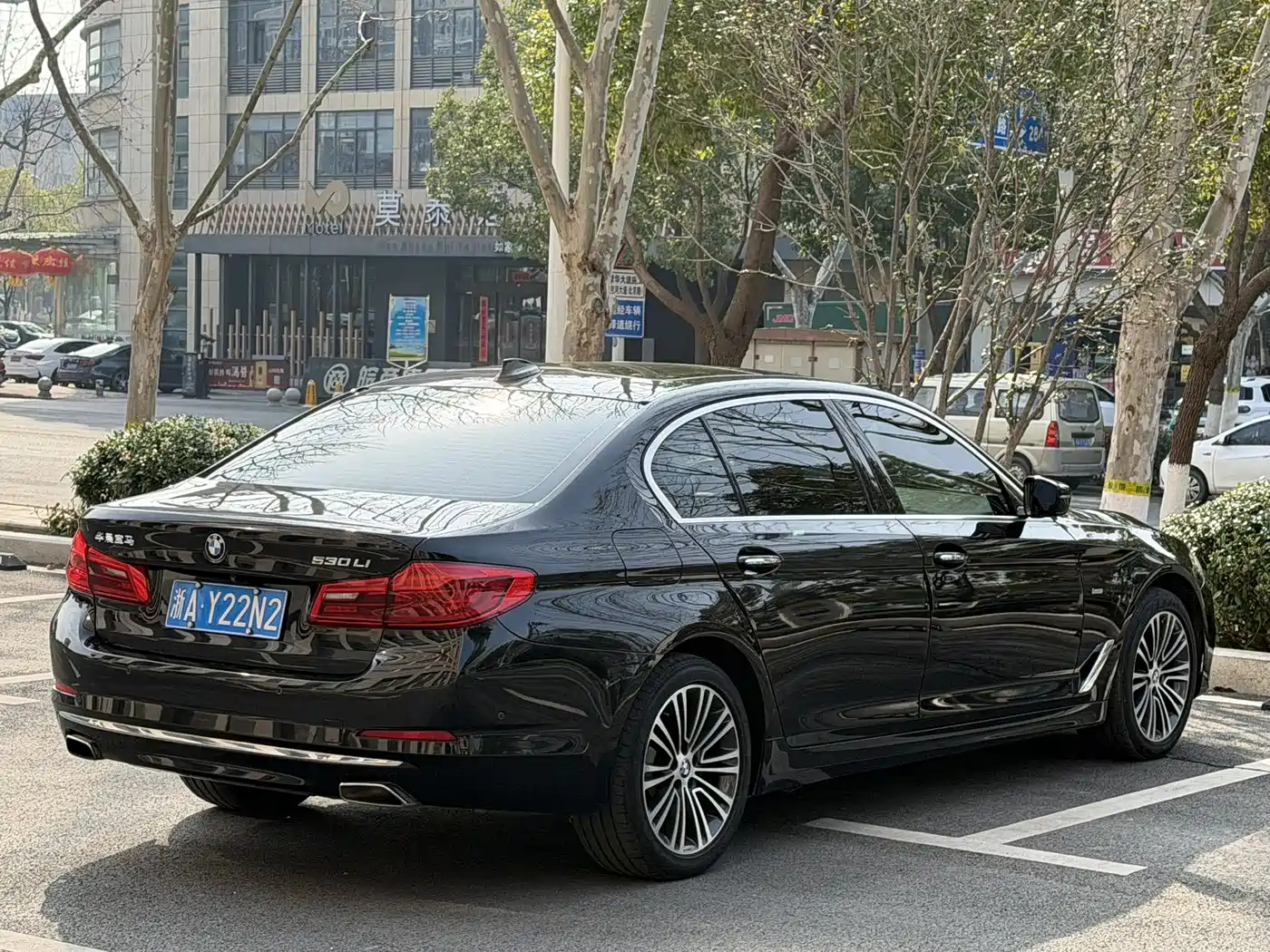 BMW 5 Series 2018 Facelift 530Li Exclusive Luxury Package фото 9