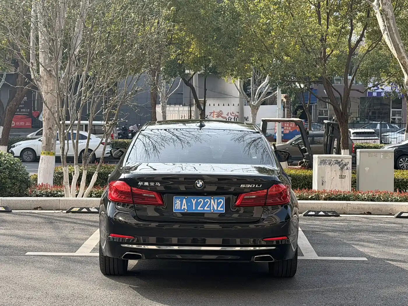 BMW 5 Series 2018 Facelift 530Li Exclusive Luxury Package фото 10