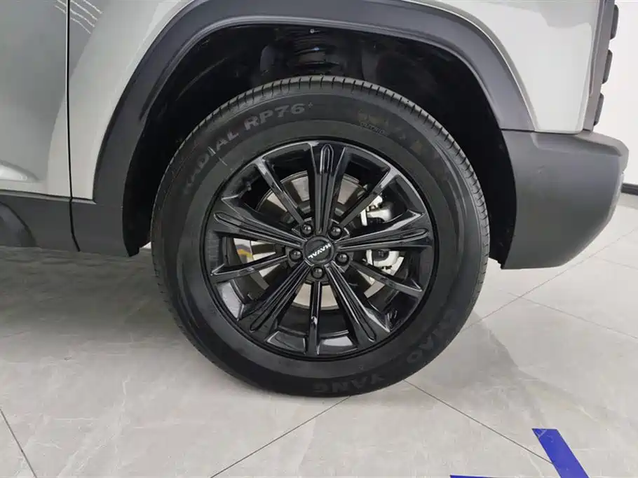 HAVAL RAPTORS NEW ENERGY