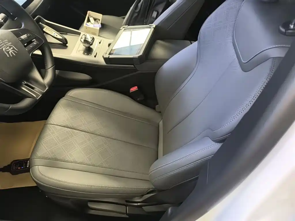 BYD Qin PLUS 2025 DM-i Smart Drive 55KM Leader фото 15