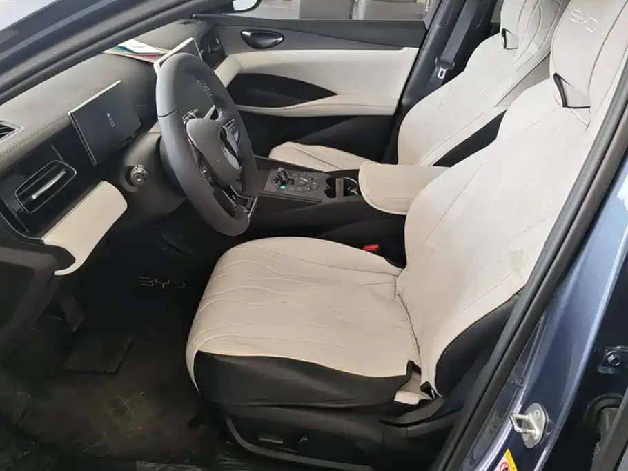 BYD Seal 06 New Energy 2024 DM-i 80KM Prestige фото 9
