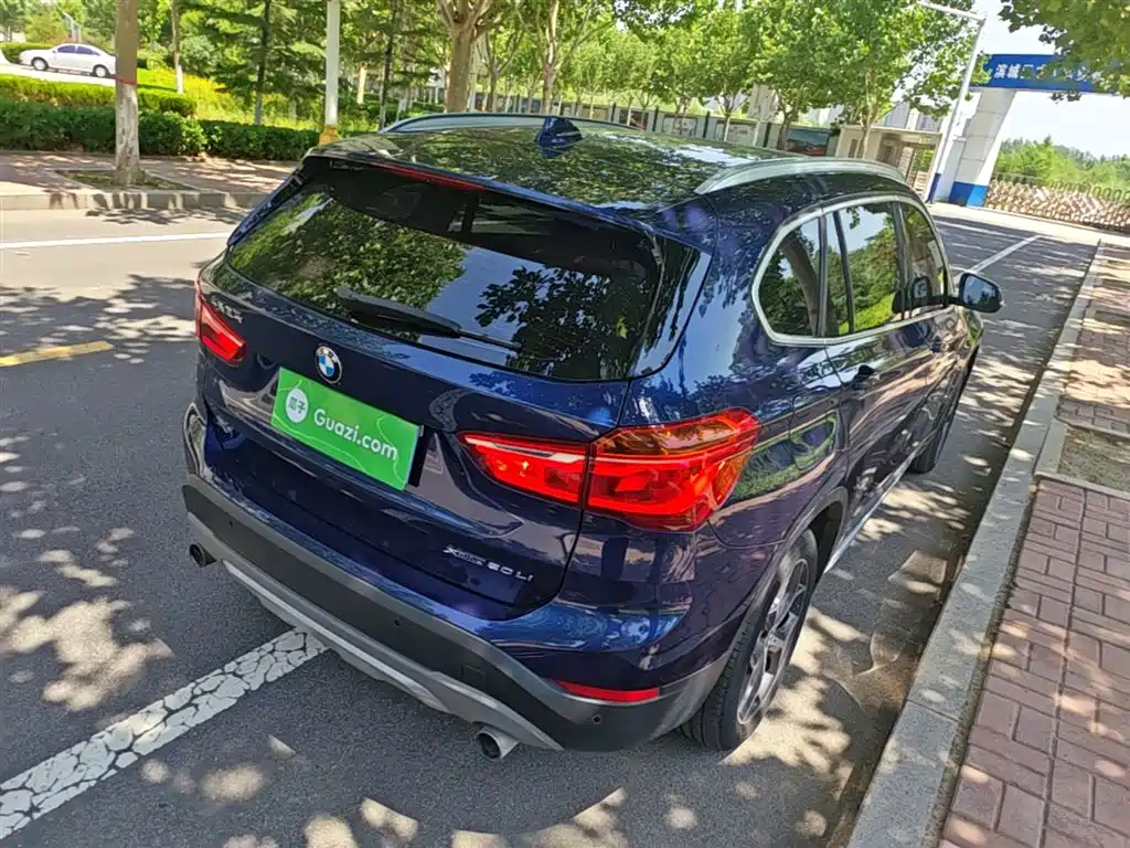 BMW X1 2019 xDrive20Li Premium Model фото 7