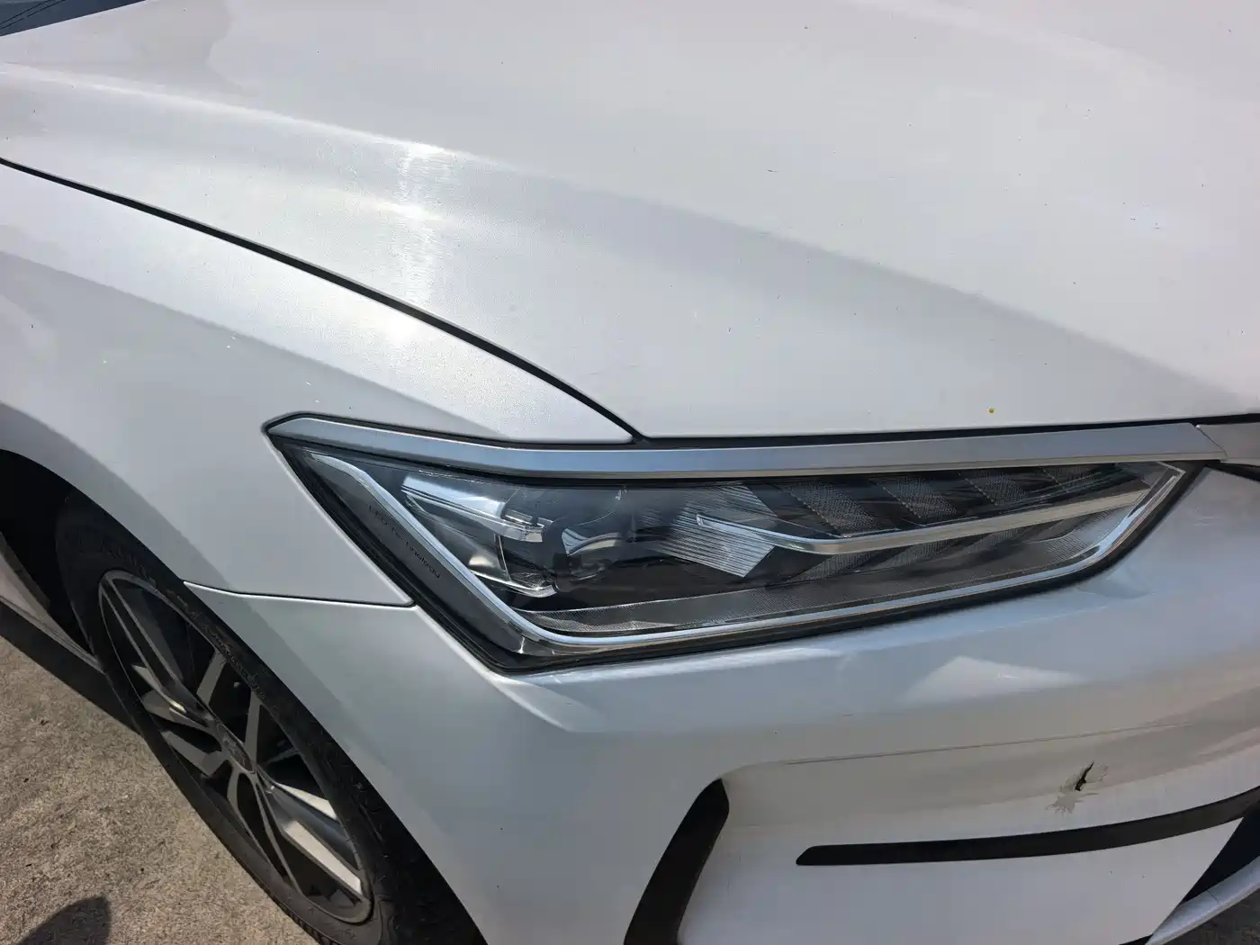 BYD Qin PLUS 2021 EV 400KM Luxury Model фото 8