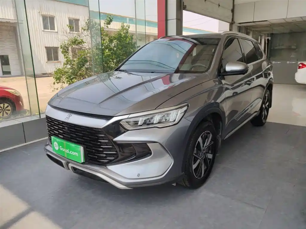 BYD Song Pro New Energy 2024 Glory Edition DM-i 71KM Pilot фото 2