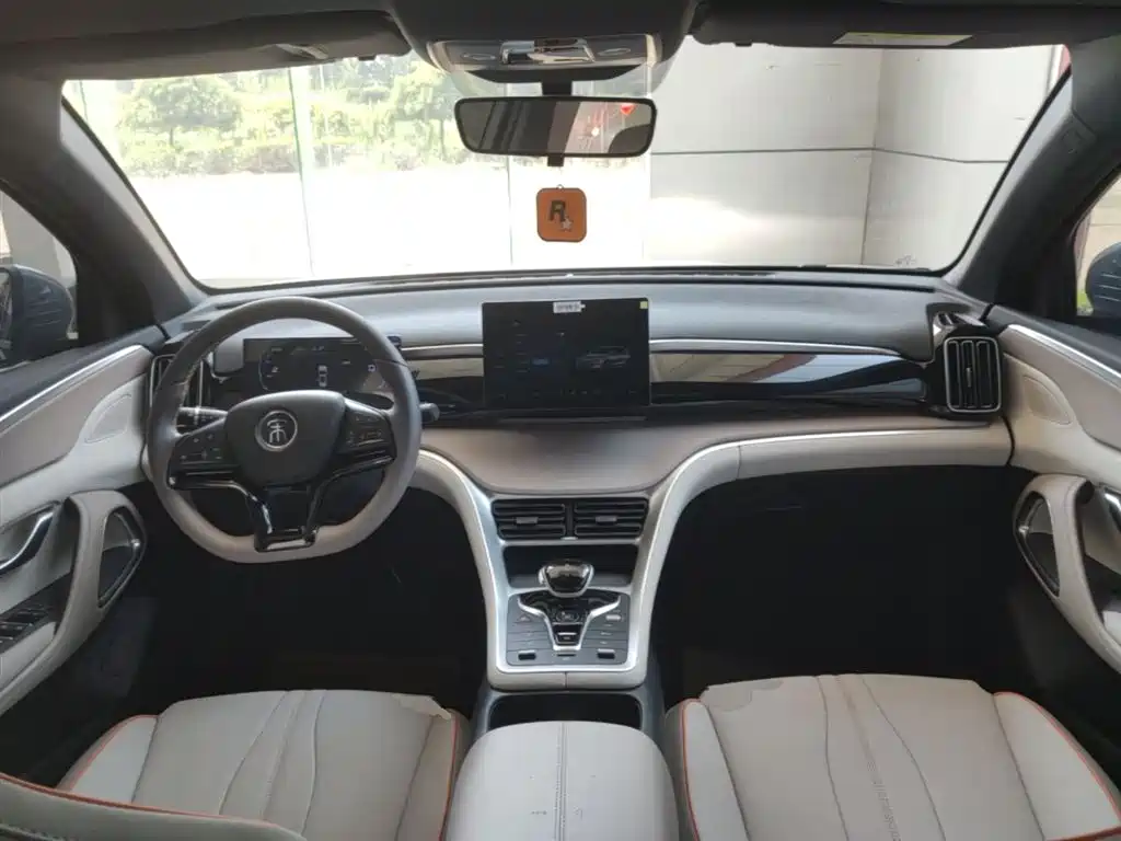 BYD Song Pro New Energy 2024 Glory Edition DM-i 71KM Pilot фото 10