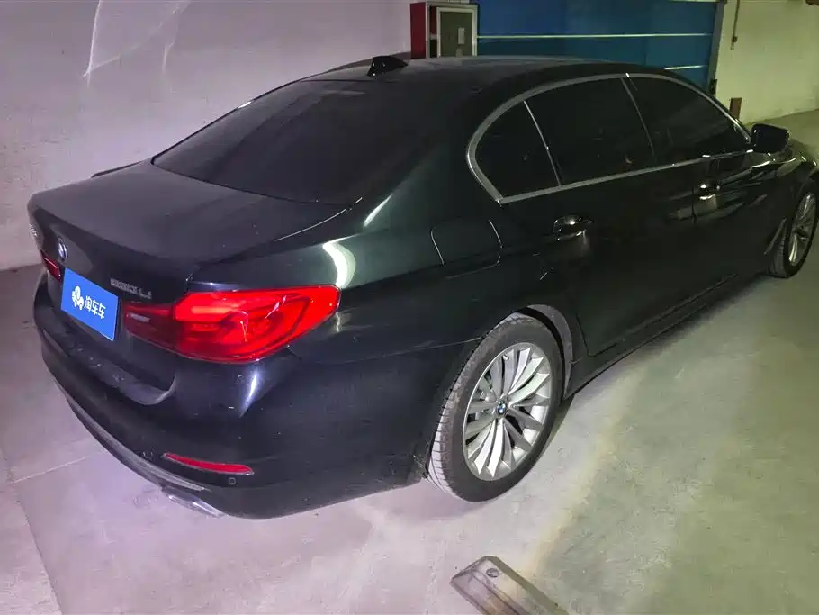 BMW 5 Series 2020 530Li Leading M Sport Package фото 3