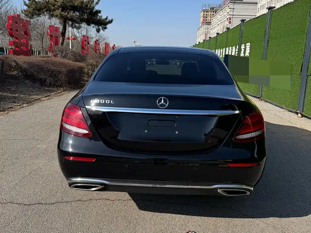 Mercedes-Benz E-Class 2019 Facelift E 300 L Luxury фото 5