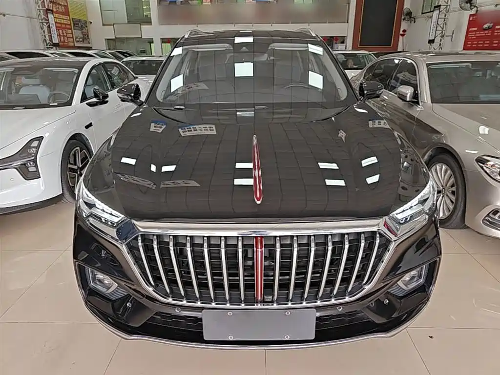 Hongqi HS5 2019 2.0T Smart Connect Enjoy Edition фото 3