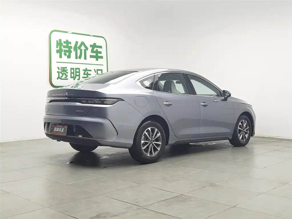 BYD Destroyer 05 2023 Champion Edition DM-i 55KM Luxury фото 2